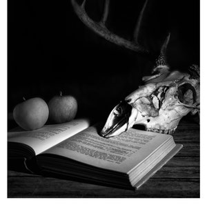 Still Life I, Pennsylvania, 2016