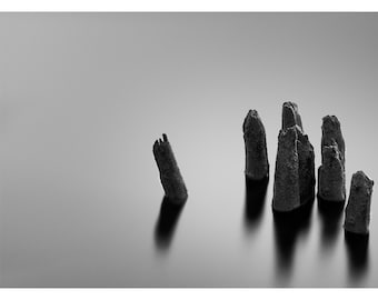 Zen I, Pennsylvania, 2021