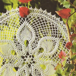 May include: A white crocheted doily with a delicate floral pattern. The doily is laid on a green background with red leaves.