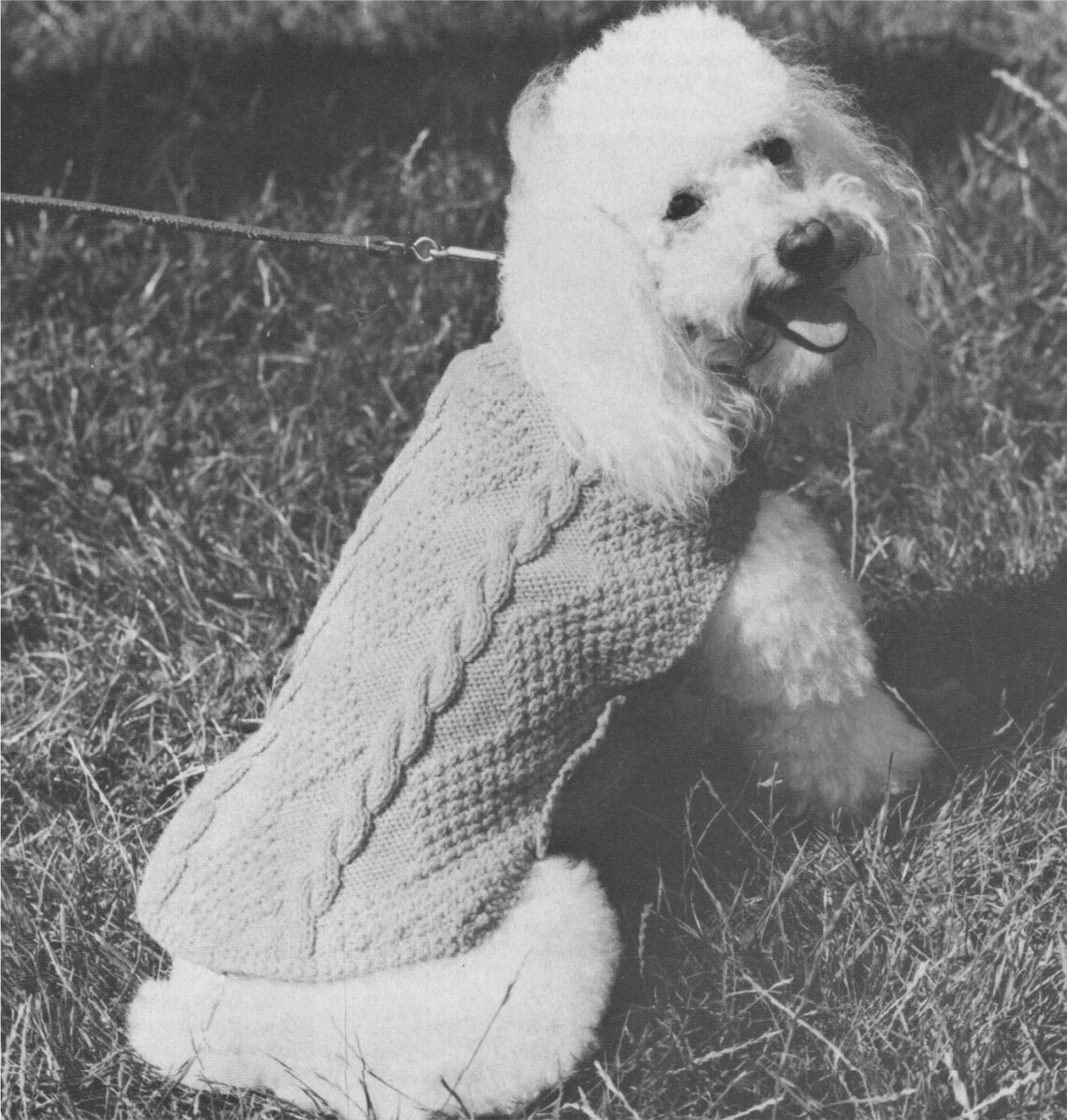 Dog Coat Knitting Pattern PDF 2 Designs for Small Dogs Pet Etsy UK