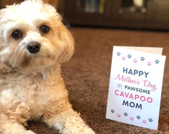 Cavapoo Gift Cavapoo Mom Dog Gifts Card Dog Lover Mothers Day Dog Mama Animal Rescue Fur Mama Life is Better with a Cavapoo Quote Mother