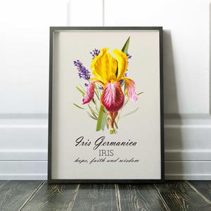 BOTANICAL PRINT, Iris Botanical Art, Yellow Flower Art Print, Antique Flower Decor, Flower Art, Garden botanical poster, Victorian Flower