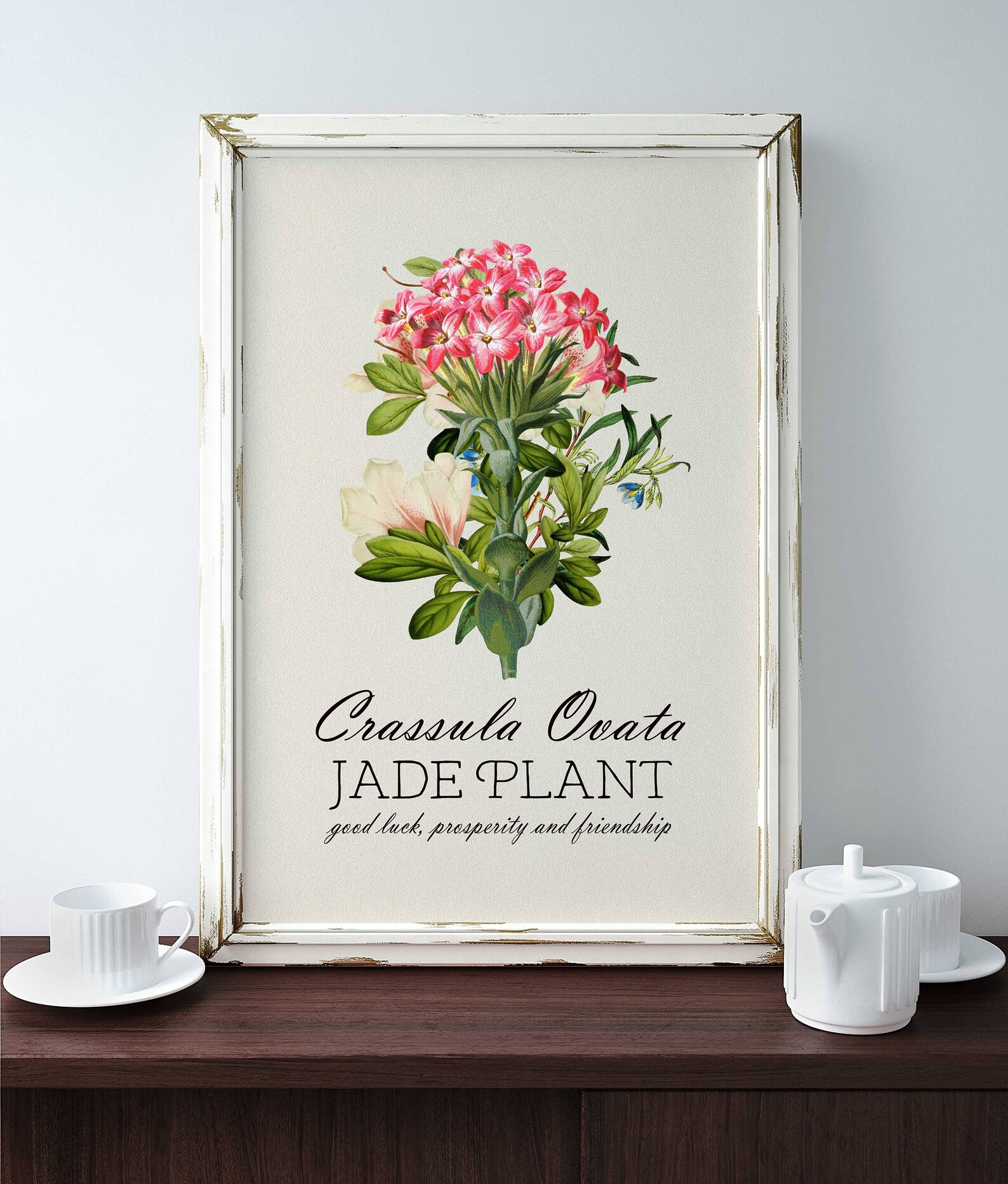 BOTANICAL PRINT Jade Plant Botanical Art Pink Flower Art Print Antique ...