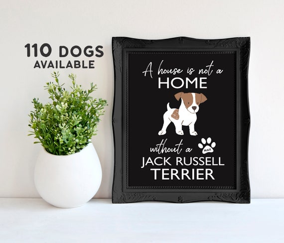 One Jack Russell Terrier Dog Fan Pull With Paw Prints On The Back 1/"