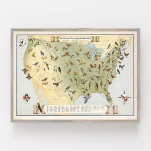 May include: A vintage-style map of the United States with each state's bird and flower illustrated. The map is surrounded by a light brown frame and has a light blue background. The title of the map is "State Bird and Flower Map of the United States".