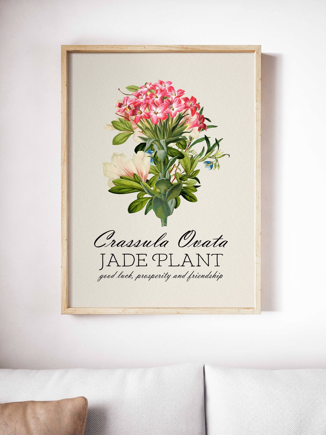 BOTANICAL PRINT Jade Plant Botanical Art Pink Flower Art Print Antique ...