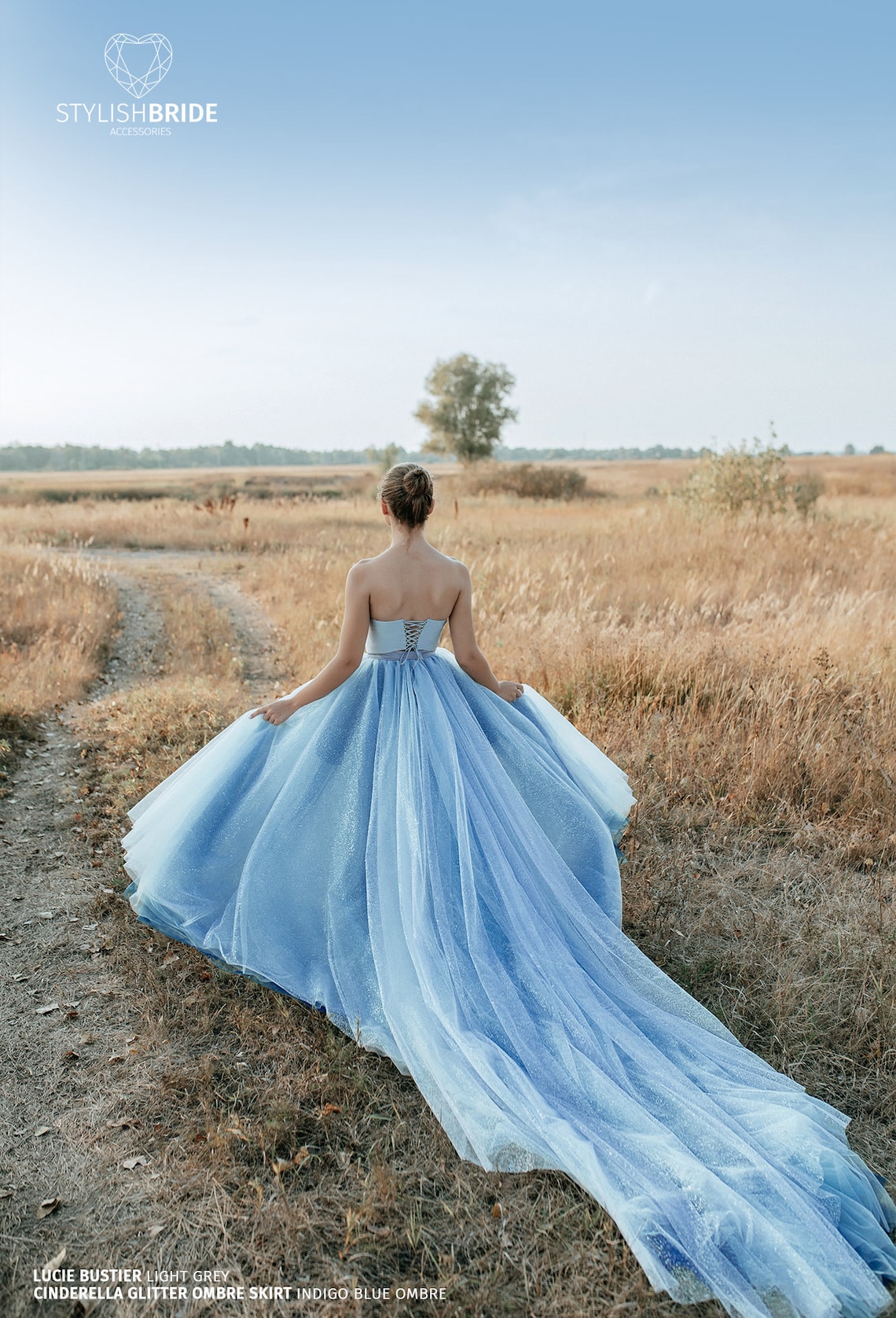 Glitter Blue Ombré Tulle Skirt with Grey Silk Lucie Bustier image 1