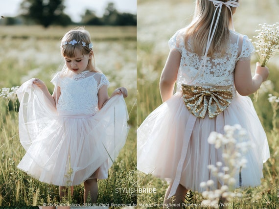 Flower Girl Dress, Blush Flower Girl Dress, Ivory Flower Girl Dress, Tulle Flower  Girl Dress, Lace Flower Girl Dress, Flower Girl Dresses 
