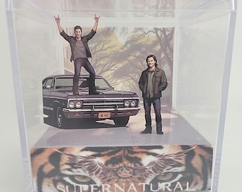 Cubo de exhibición de dioramas del programa de televisión "Ojo del Tigre" de Dean/Sam Supernatural