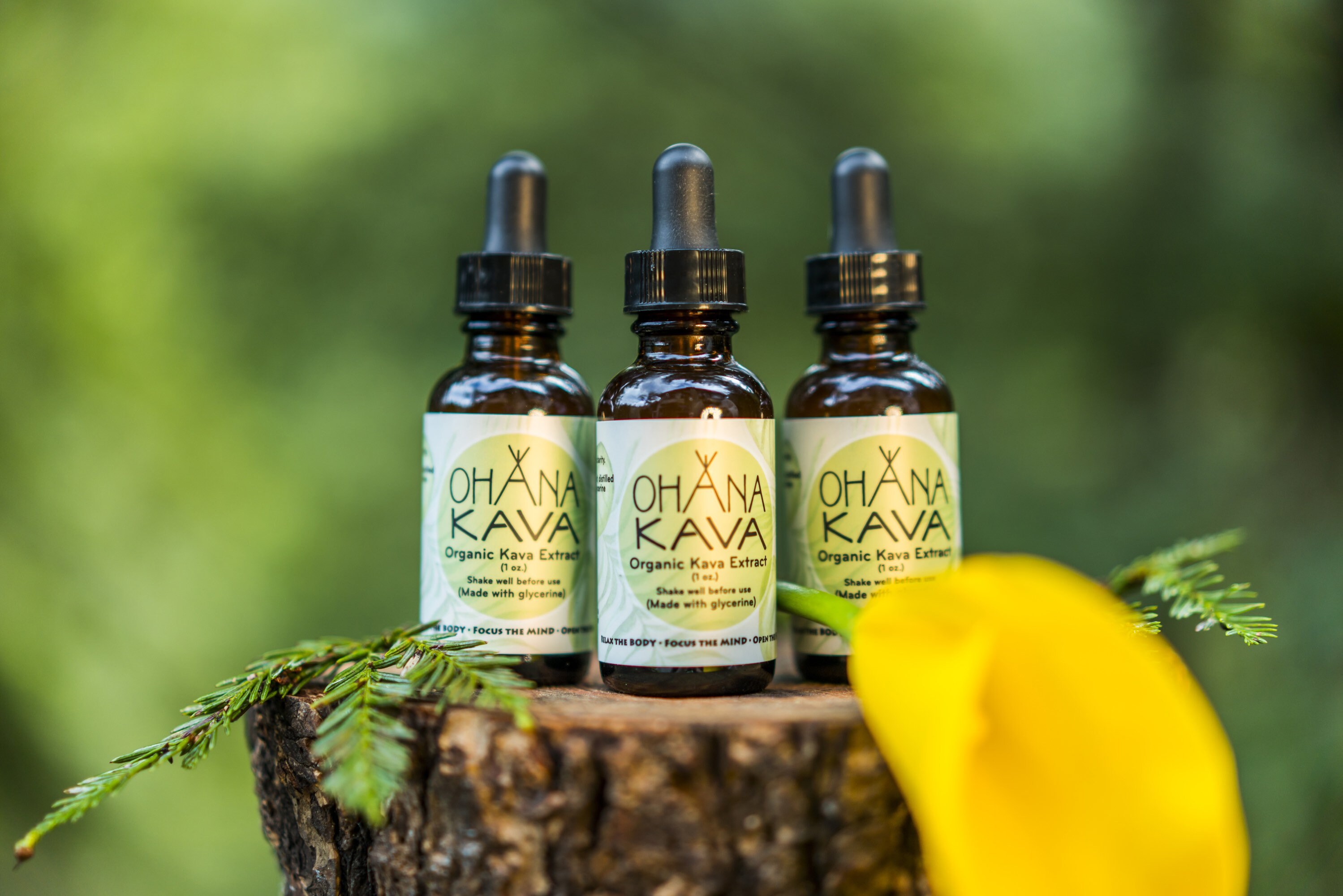 Organic Kava Extract Etsy