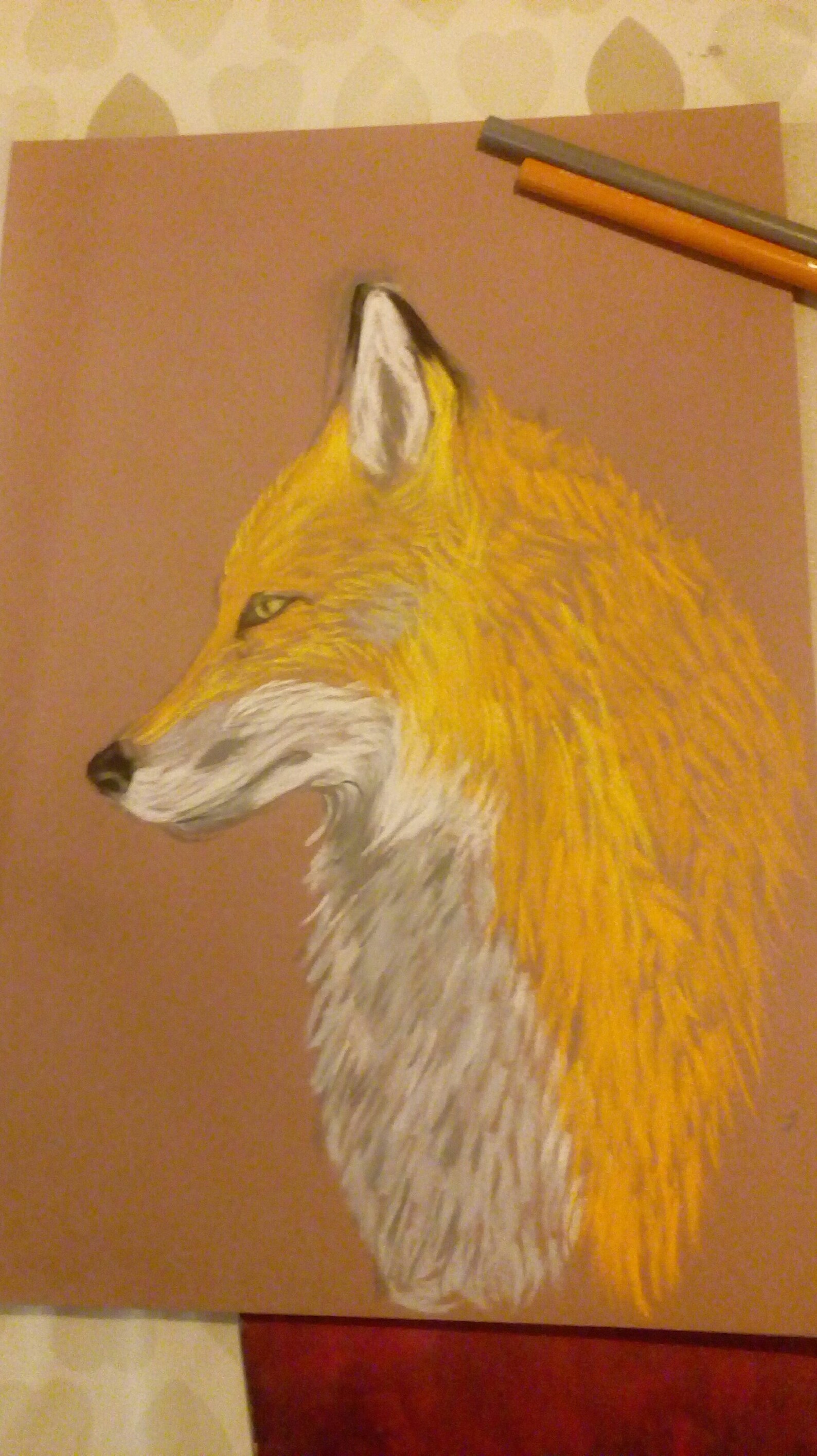 reynard fox logos reynard fox logos