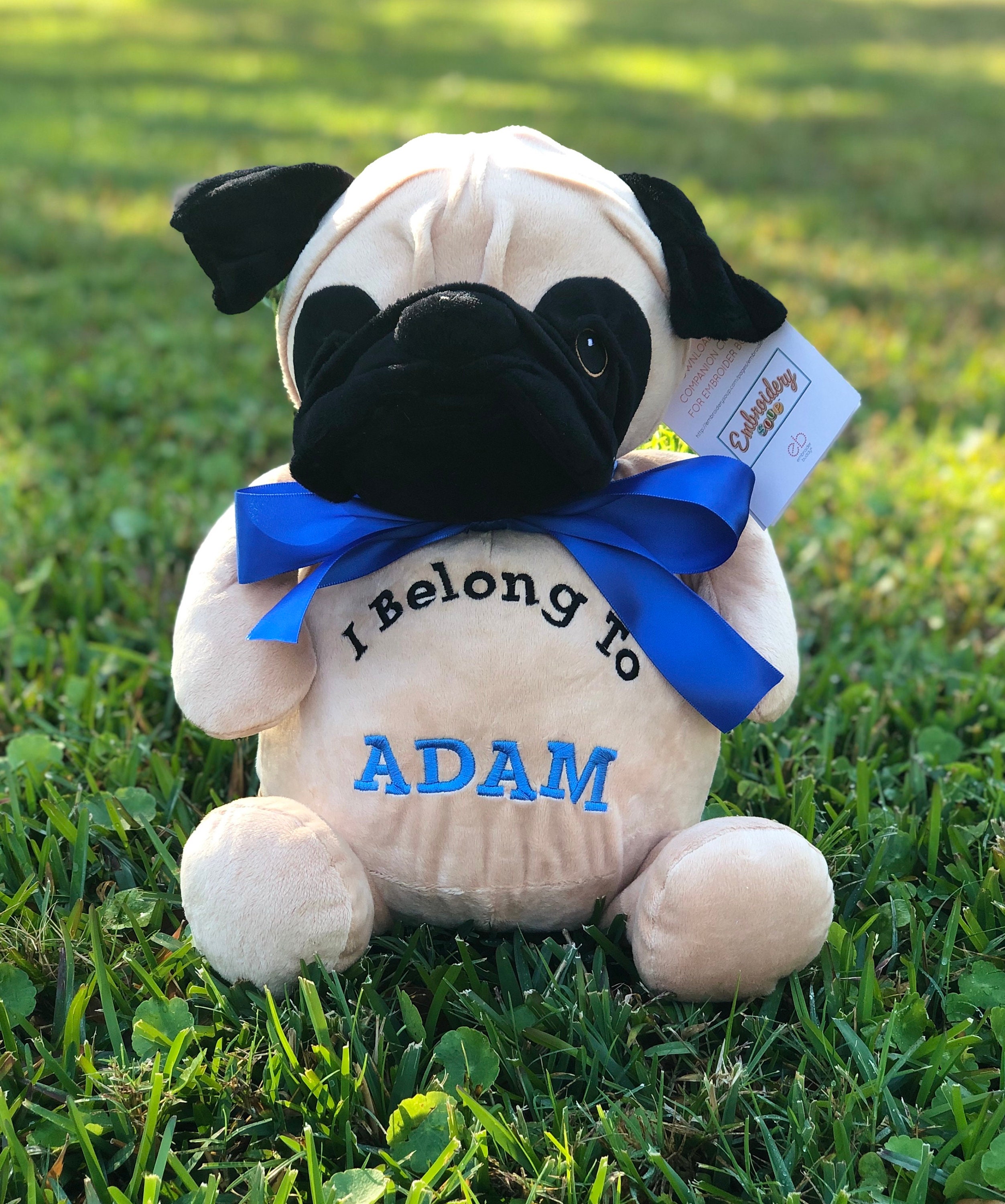 personalised pug teddy