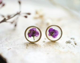 Real Pressed Flowers and Resin Stud Earrings, Brass Circles with Purple Alyssum