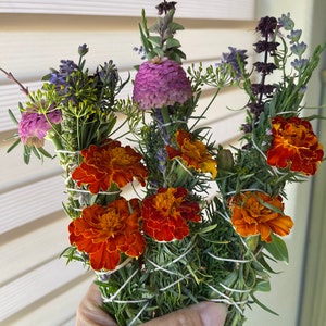 May include: Four bundles of dried herbs and flowers tied with twine. The bundles include marigolds, lavender, and other herbs. The bundles are held in a hand.