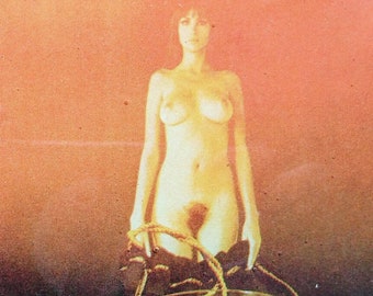 Photo Art Magnets, Fridge Decor (Set of 2)