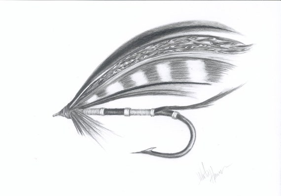 Fly fishing art, Salmon Fly, Print of original pencil drawing