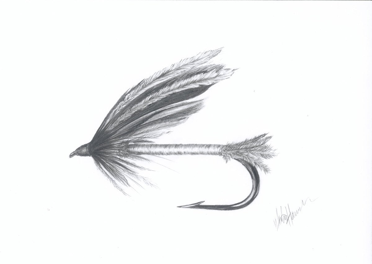 Fly fishing art, Spruce fly, Print of original Pencil Drawing