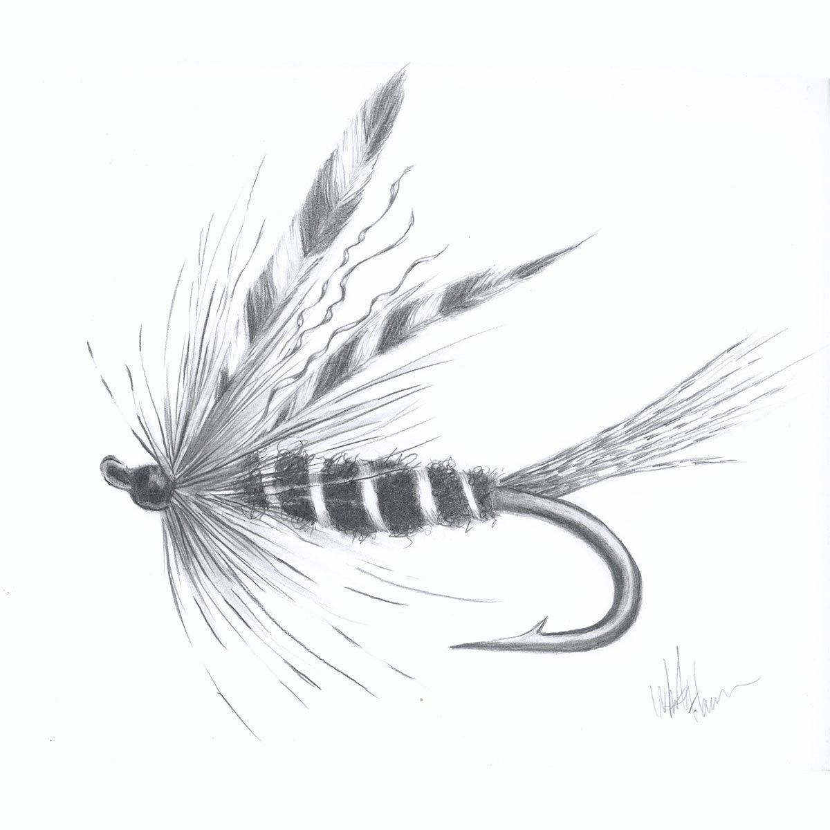 Fly Fishing Art, Silver Hilton Steelhead Fly, Print of Original Pencil  Drawing 