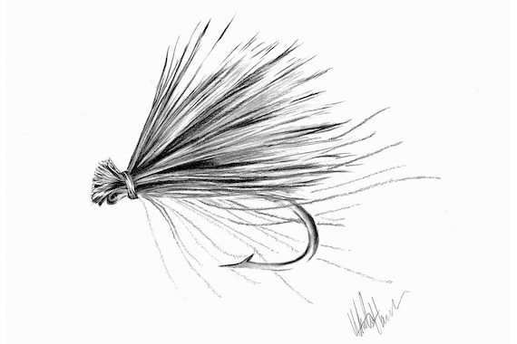 Fly fishing art, CDC Elk Hair Caddis, Print of Original Pencil Drawing