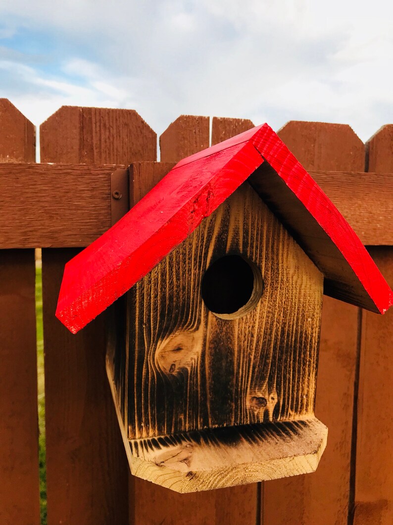 Custom Bird House Etsy