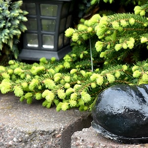 Handmade Black Concrete Dog in Boot Statue, Black Pet Memorial Ornament, Dog Home Decor, Unique Housewarming Gift for Dog Lovers & Home
