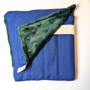 Fabric 8 Mini Pen Pouch &quot;Gatemouth&quot; Navy with Green