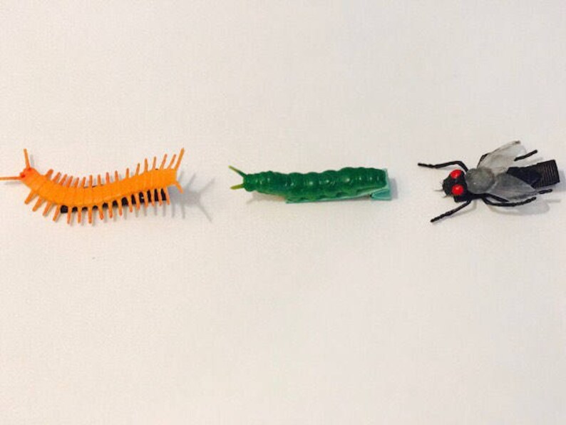 Insect Crush Clips Insect Crush Clips