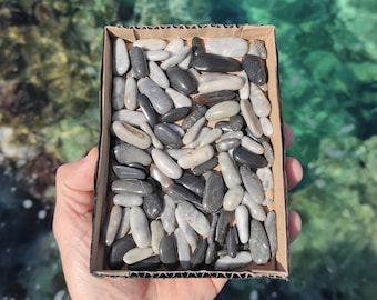 100-200 elongated, black and gray,smooth,tiny beach pebbles.Oblonged,natural beach stones.Finger stones 1.2-3cm (0.5&quot;-1.2&quot;)