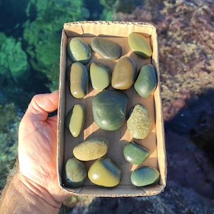 15 natural,smooth,chunky,green beach pebbles.Pebbles for crafts.Bonsai decor.Beach house decor.