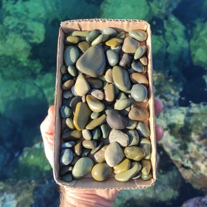 100 natural,smooth,chunky,green beach pebbles.Pebbles for crafts.Bonsai decor.Beach house decor.
