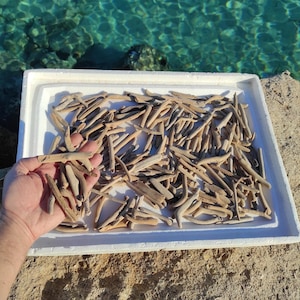 100-200 small,driftwood sticks.Natural,reclaimed,wood branches.