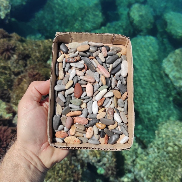 200 elongated,colorful,smooth,tiny beach pebbles.Genuine,ob longed volcanic beach stones.Finger stones.Pebble art 1.2-2.5cm (0.5"-1")