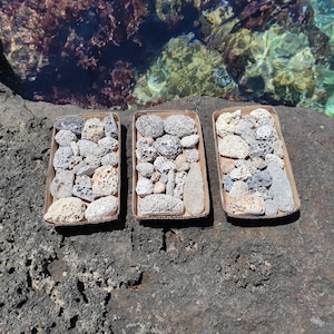20 Natural,volcanic beach rocks for crafts.Aquarium or fish tank beach stones.Rock collectors gift. selection set