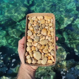 100Yellow chunky natural,beach pebbles.Mosaic pebbles.Fairy garden stones.Soil topper.Vase filler.Bonsai decor.