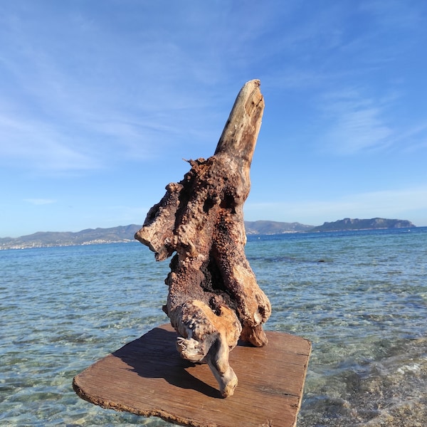 Sculpture unique et naturelle de racine de bois flotté. Aquascape, bois hardscape. Bois fantôme. Décor de plage écologique.
