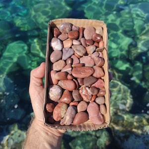 60 Purple chunky natural,beach pebbles.Mosaic pebbles.Fairy garden stones.Soil topper.Vase filler.Bonsai decor.