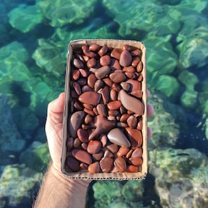 100 Brown chunky natural,beach pebbles.Mosaic pebbles.Fairy garden stones.Soil topper.Vase filler.Bonsai decor.