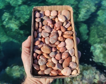 100 pink chunky natural,beach pebbles.Mosaic pebbles.Fairy garden stones.Soil topper.Vase filler.Bonsai decor.