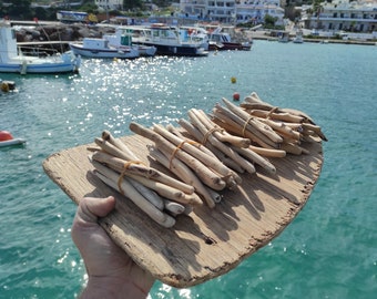 50 small Driftwood pieces for inspired art projects. One-of-a-kind driftwood selection for crafts. 15-20cm (6"-8")