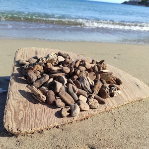 100 small,chunky,driftwood pieces for art or craft projects.Sustainable crafting.Beach vibes decor 2-10cm (0.8&quot;-4&quot;)