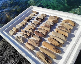 40 chunky, small driftwood pieces,for craft for art projects,a mermaid would love :-)