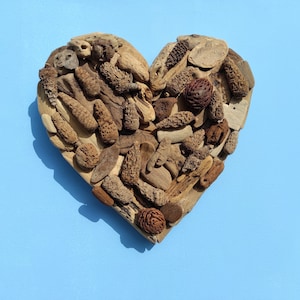 Driftwood heart wall decor for your green thinking Valentine