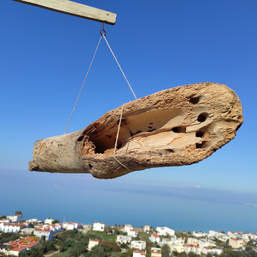 41.3 Unique,holey,natural,rustic Driftwood .aquarium Centerpiece
