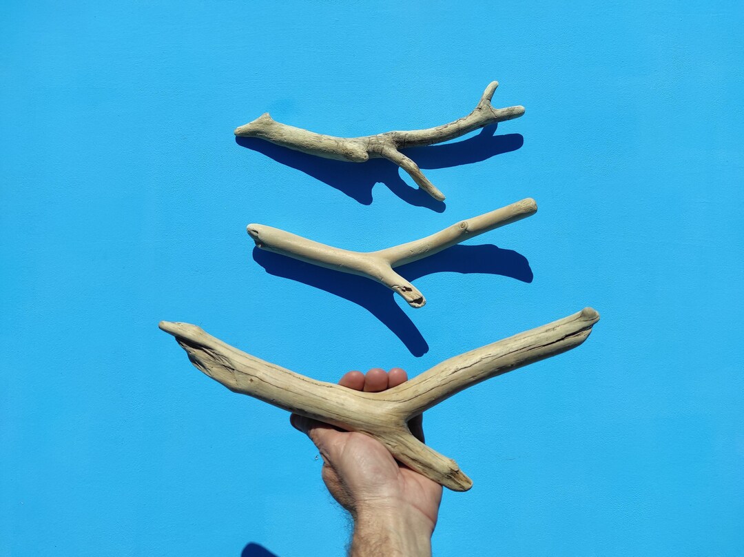 3 Driftwood Pieces,in Interesting Shapes,to Feature Your Wall Art. 35