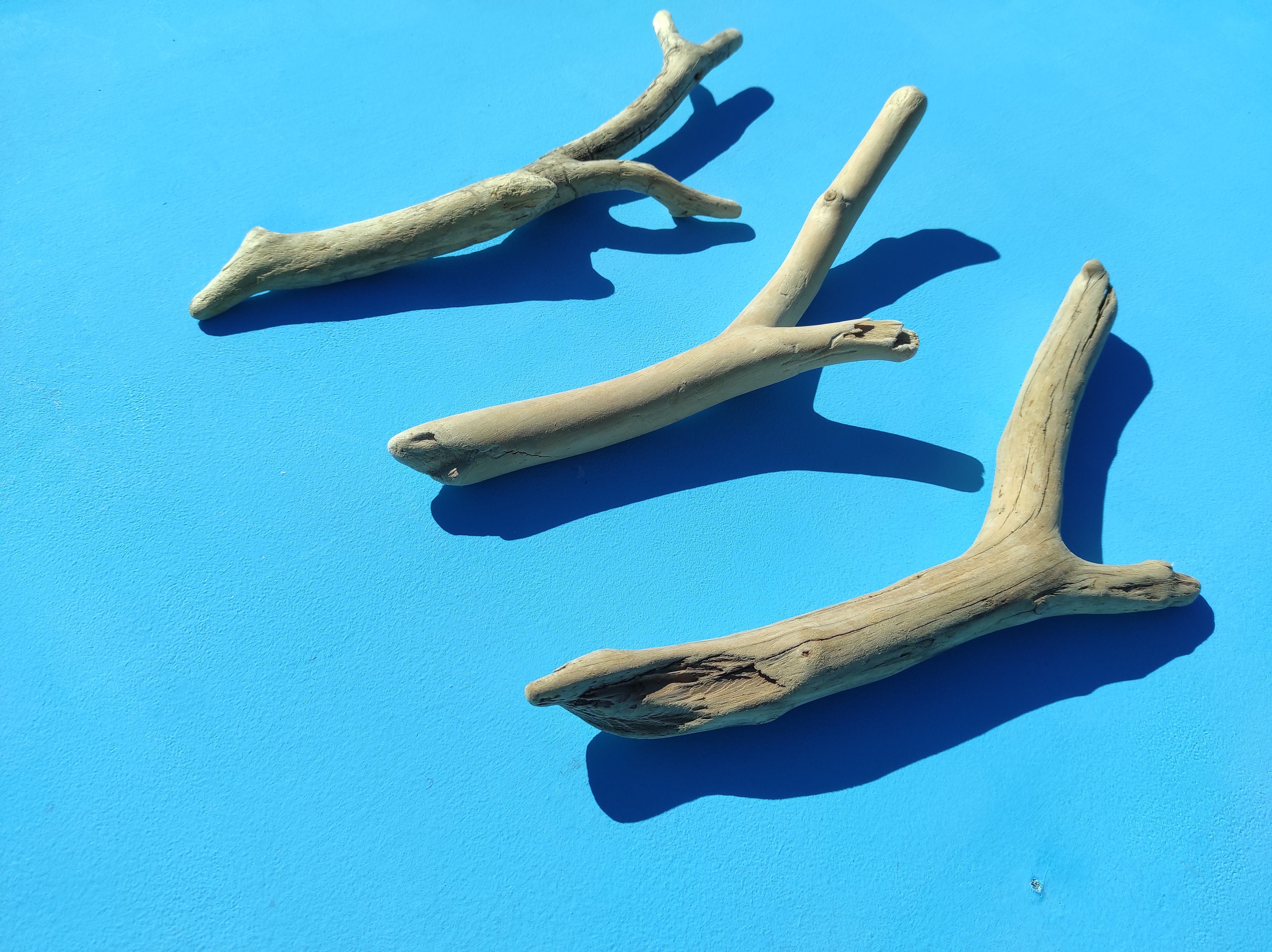 3 Driftwood Piecesin Interesting Shapesto Feature Your Wall Etsy UK