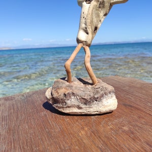 One-of-a-kind,driftwood allien,with magic stick.Natural sculpture on stand.Beach fantasy art image 3