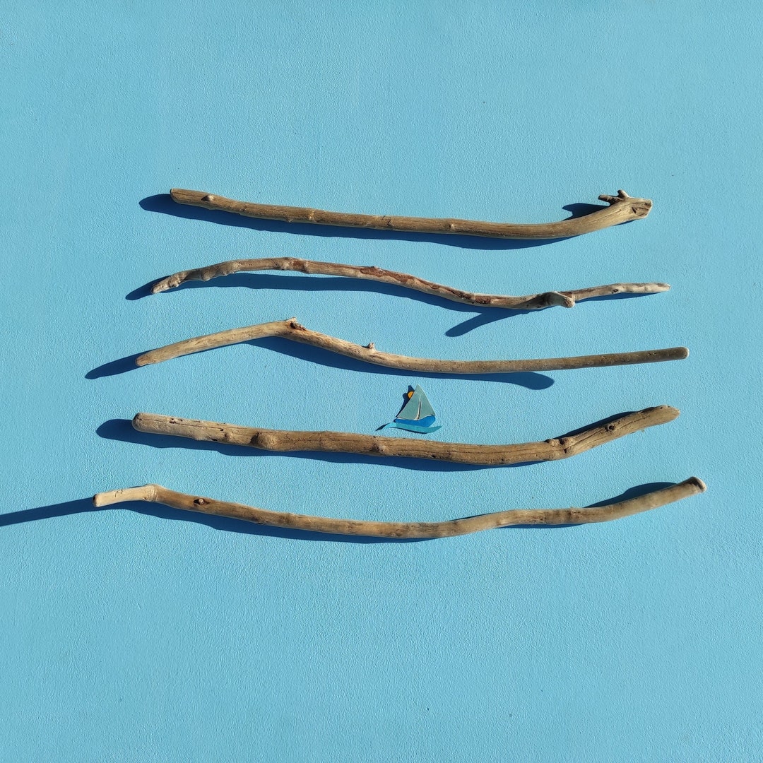 5 Long Driftwood Piecesfor Art Projectsthat Shake off the Etsy