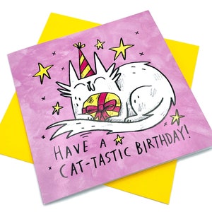 Cat Lover Birthday Card, funny cute greetings card