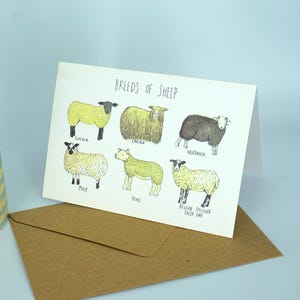Greetings Card Breeds of Sheep image 4