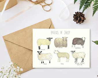 Greetings Card - Breeds of Sheep